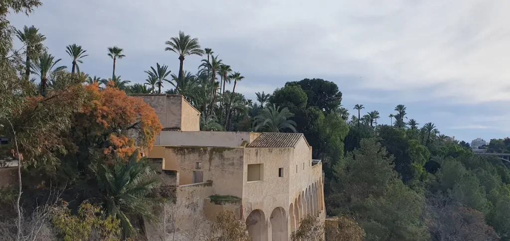 Historic building surrounded by palm trees in Elche, Alicante province, Elche
